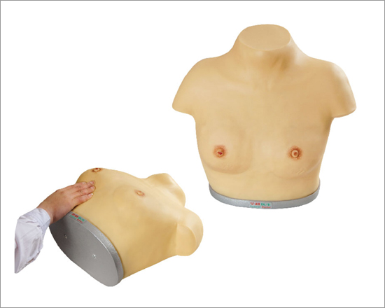 Advanced Inspection and Palpation of Breast Simulator