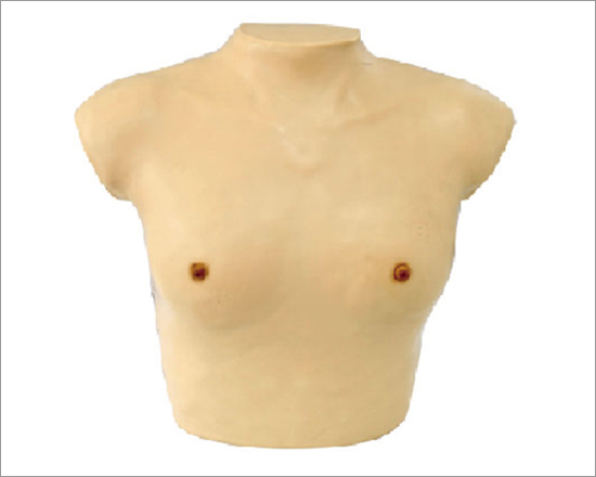 Breast Examination Simulator Another Type