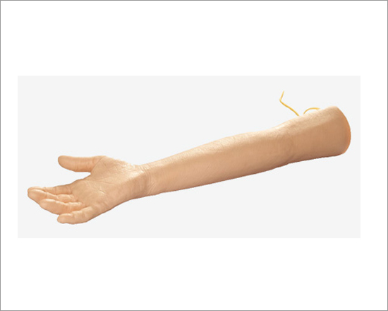 Elder Venipuncture Arm Model