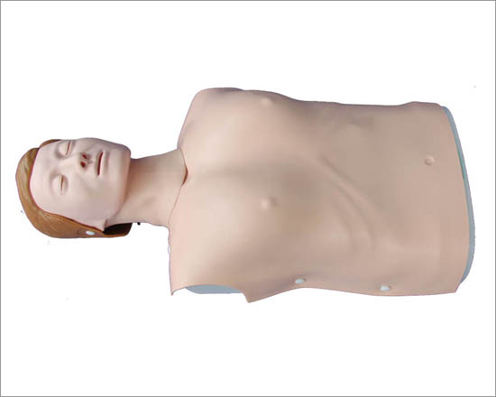 Female Half Body CPR Training Model