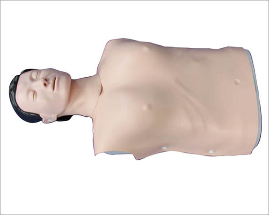 Male Half Body CPR Training Model