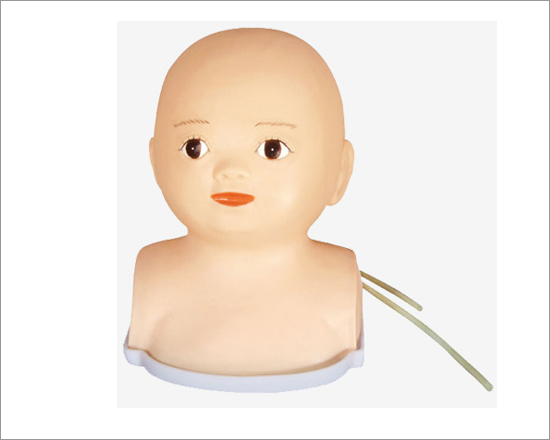 Infant Venipuncture Head