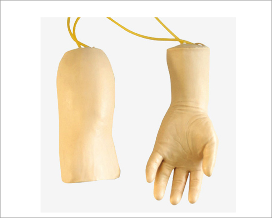 Intravenous Transfusion Hand and Elbow Model