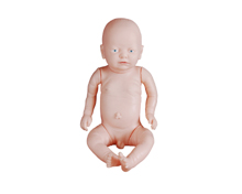 Infant Simulator Model