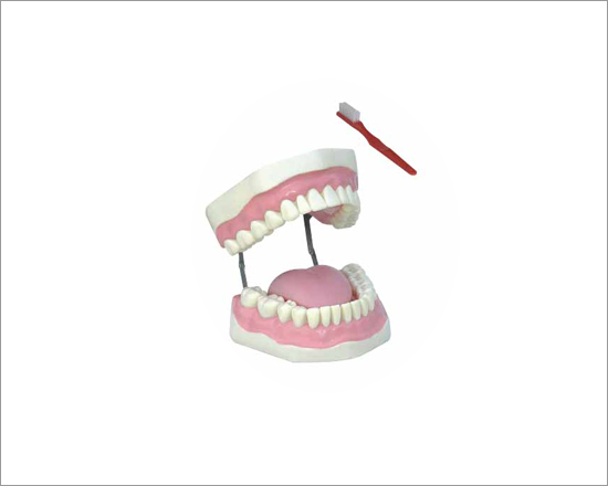 Tooth Hygiene Set-1