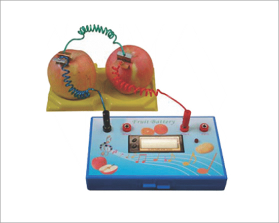 Potato Clock - Electrochemical Cell Type III