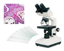 Lab Microscopes & Slides